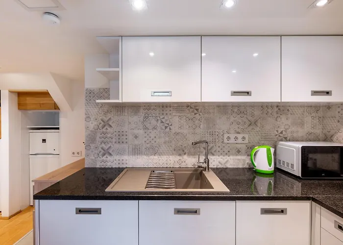 B21 Bajcsy Apartment